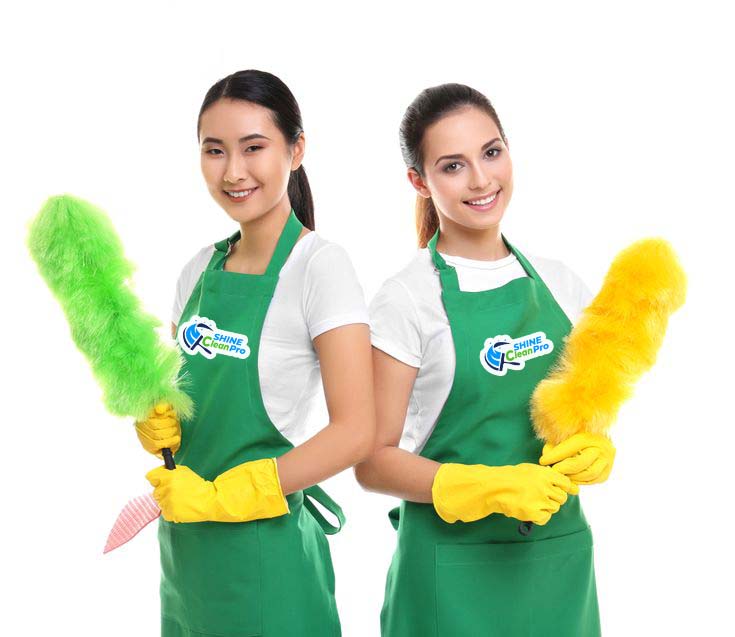 SHINE_CLEAN_89.png